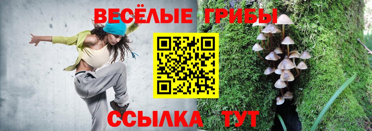 Псилоцибиновые грибы Cubensis  Вход с VPN  Октябрьский 